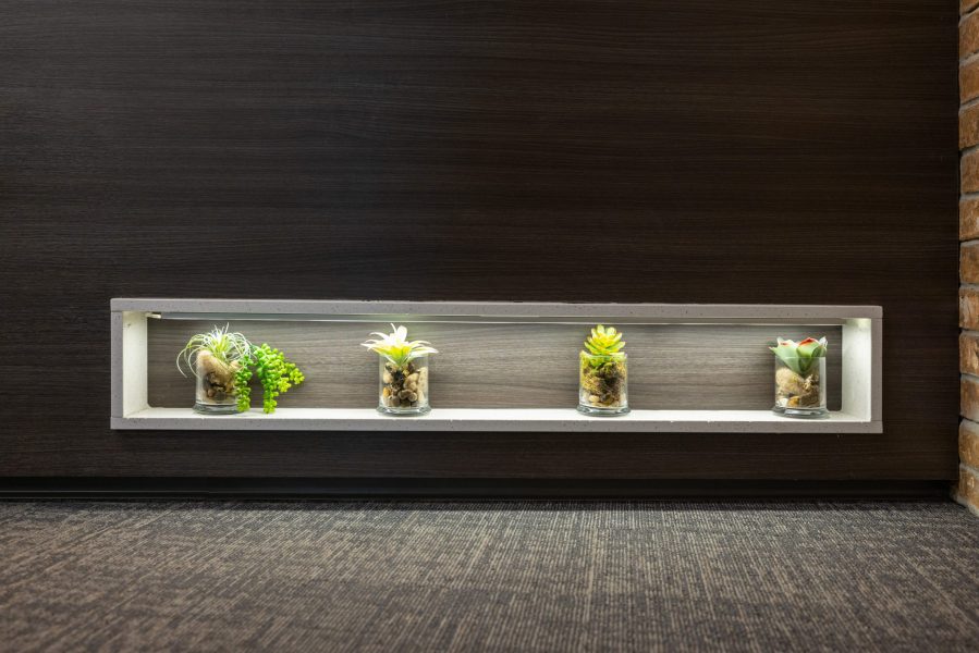 DRJESSEFA_20220404_092248_8825