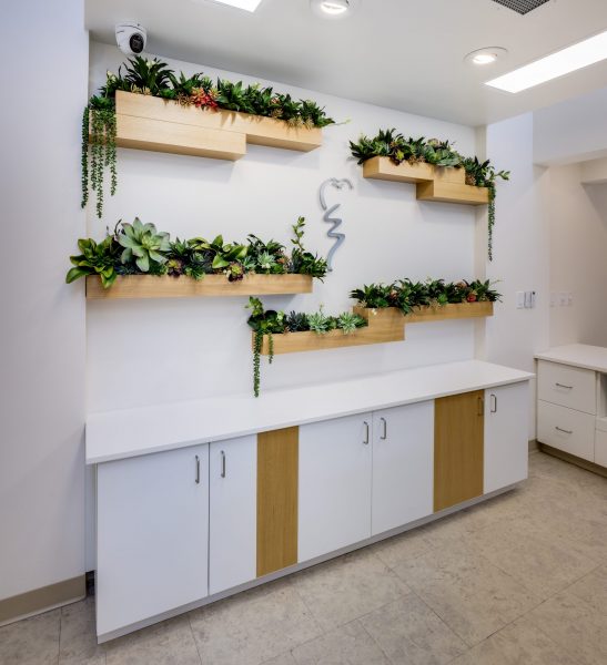 DRPHILLIPBHASKAR_20220304_123802_6218